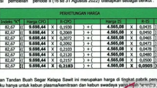 Harga TBS Sawit Turun Drastis hingga Rp 1.500 per Kg, Petani Sawit Mulai Resah