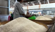 Hashim Djojohadikusumo: Pasokan Pupuk Cukup Percepat Swasembada Beras Indonesia