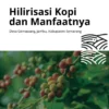 Hilirisasi Kopi dan Digital Marketing Jadi Prioritas Pembinaan UMKM di Bondowoso