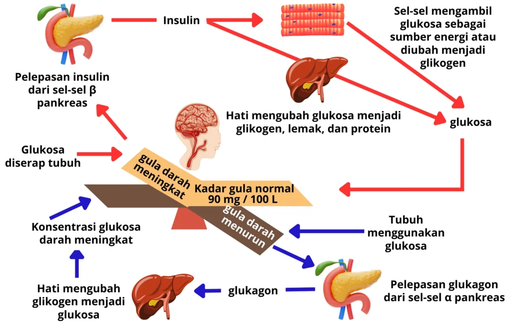 Hubungan Antara Fluktuasi Glukosa dan Sakit Kepala