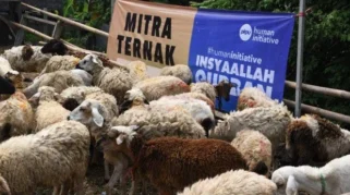 Human Initiative Gelar Qurban Week untuk Distribusi Hewan Kurban ke Wilayah Pelosok dan Afrika