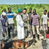 Human Initiative Prioritaskan Distribusi Kurban untuk Pengungsi Sudan Selatan di Kenya