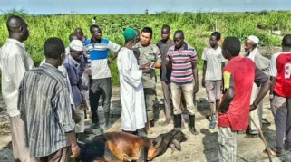 Human Initiative Prioritaskan Distribusi Kurban untuk Pengungsi Sudan Selatan di Kenya