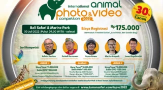 IAPVC 2026 Angkat Pesan Konservasi lewat Fotografi Satwa