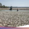 IDAI Waspadai El Nino Godzilla Picu Ancaman Kesehatan Serius pada Anak Indonesia