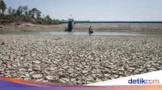 IDAI Waspadai El Nino Godzilla Picu Ancaman Kesehatan Serius pada Anak Indonesia