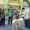 Idul Adha Perkuat Kepedulian dan Semangat Kebersamaan di Lumajang