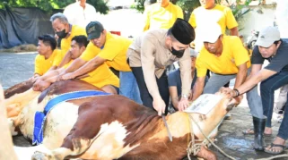 Iduladha 1447 H, Korlantas Polri Kurban 60 Sapi dan 33 Kambing untuk Masyarakat Jakarta
