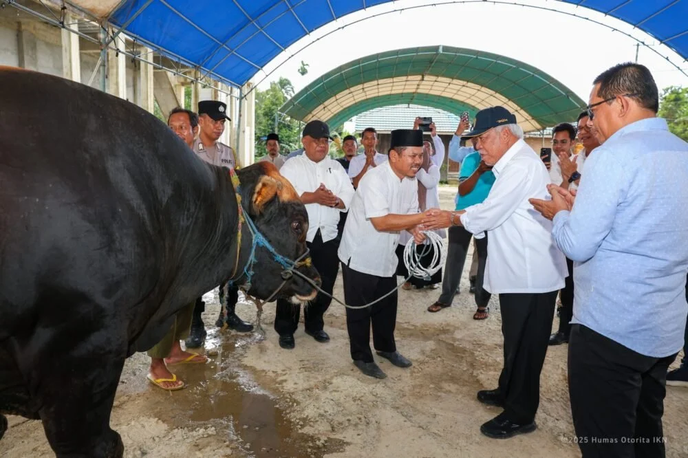 Iduladha 1447 H, Presiden Prabowo Salurkan 1.098 Ekor Sapi Kurban ke Seluruh Indonesia