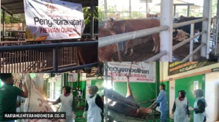 Jelang Iduladha 2026, RPH Magetan Mulai Buka Pendaftaran Pemotongan Hewan Kurban