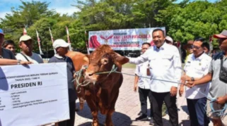 Jubir Gerindra Tegaskan Bantuan Sapi Kurban Presiden Dianggarkan Resmi Melalui APBN