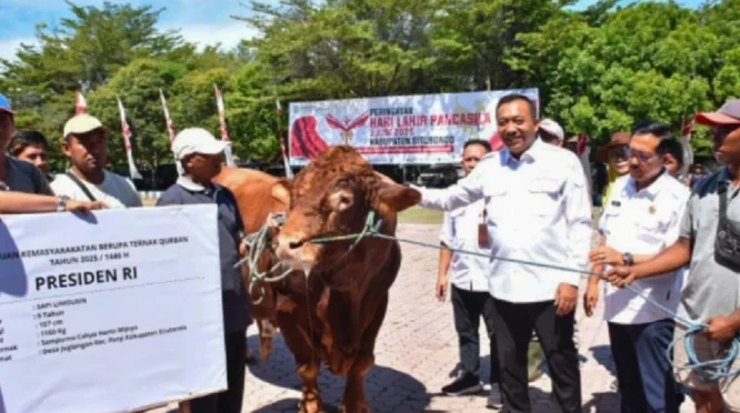 Jubir Gerindra Tegaskan Bantuan Sapi Kurban Presiden Dianggarkan Resmi Melalui APBN