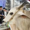 Jumlah Hewan Kurban di Masjid Istiqlal Meningkat pada Iduladha 1447 H