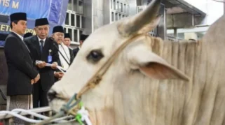 Jumlah Hewan Kurban di Masjid Istiqlal Meningkat pada Iduladha 1447 H
