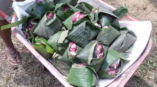 Jurnalis Jakarta Utara Gunakan Daun Pisang untuk Bungkus Daging Kurban Demi Lingkungan