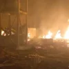 Kandang Ayam di Probolinggo Terbakar, 21 Ribu Ayam Mati Terpanggang
