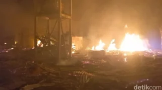 Kandang Ayam di Probolinggo Terbakar, 21 Ribu Ayam Mati Terpanggang