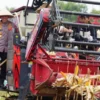 Kapolri Paparkan Hasil Panen Raya Jagung Polri, Komitmen Dukung Swasembada Pangan