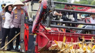 Kapolri Paparkan Hasil Panen Raya Jagung Polri, Komitmen Dukung Swasembada Pangan