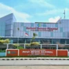 Kasus Hantavirus di Jakarta, Menkes Pastikan Penanganan Intensif di RSPI Sulianti Saroso