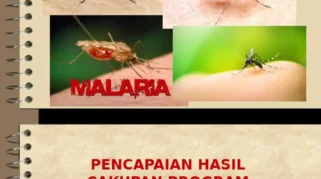 Kasus Malaria Meningkat, Guru Besar UGM Soroti Faktor Lingkungan dan Ancaman Zoonosis