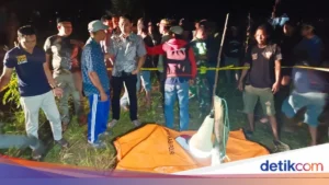 Kasus Tewas Pria Asal Mojokerto di Kebun Jagung Jombang: Bunuh Diri atau Pembunuhan?