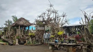 Kayu Terdampar di Pantai Bali Disulap Jadi Kerajinan Bernilai Tinggi oleh Ulu Sari Handicraft