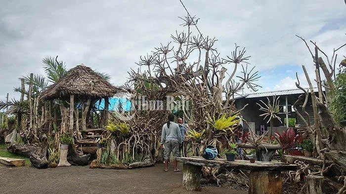 Kayu Terdampar di Pantai Bali Disulap Jadi Kerajinan Bernilai Tinggi oleh Ulu Sari Handicraft