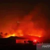 Kebakaran Hutan di California Selatan Memaksa Evakuasi 17.000 Warga