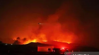 Kebakaran Hutan di California Selatan Memaksa Evakuasi 17.000 Warga