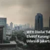Kebijakan WFH ASN Dinilai Efektif Mengurangi Mobilitas di Kota Besar, Namun Tantangan Muncul di Daerah 3T
