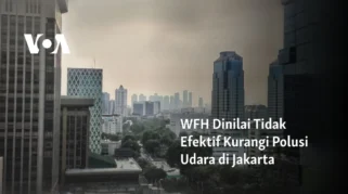 Kebijakan WFH ASN Dinilai Efektif Mengurangi Mobilitas di Kota Besar, Namun Tantangan Muncul di Daerah 3T