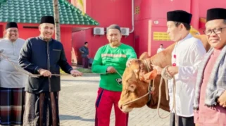 Kemenbud Salurkan 23 Ekor Sapi untuk Iduladha 1447 H, Perkuat Semangat Solidaritas dan Gotong Royong