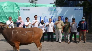 Kemendikdasmen Salurkan 159 Hewan Kurban Iduladha ke Berbagai Wilayah Indonesia