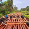 Kemenhut Selidiki Peredaran Kayu Ilegal dari Taman Nasional Bukit Tiga Puluh