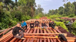 Kemenhut Selidiki Peredaran Kayu Ilegal dari Taman Nasional Bukit Tiga Puluh