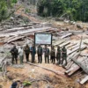 Kemenhut Tetapkan Dua Tersangka Pembalakan Liar di TWA Mangolo