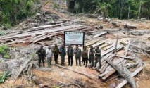 Kemenhut Tetapkan Dua Tersangka Pembalakan Liar di TWA Mangolo