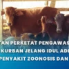 Kemenkes Beri Panduan Lindungi Masyarakat dari Penyakit Zoonosis Hewan Kurban Iduladha 2026