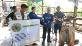 Kemensos Salurkan 295 Hewan Kurban untuk Pegawai dan Masyarakat pada Iduladha 1447 H
