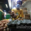 Kementan Dorong Kenaikan Harga Telur hingga Rp26.500 per Kg untuk Lindungi Peternak Rakyat