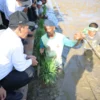 Kementan Kawal Rehabilitasi Sawah Pascabencana, Dorong Pemulihan Pertanian Sumatera Barat