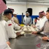 Kementerian Haji Salurkan Daging Dam Jemaah Haji ke Palestina