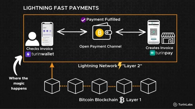 Kenapa Lightning Network menjadi solusi ideal untuk pembayaran cepat?