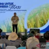 Kepastian Harga Jadi Kunci Dukungan Petani pada Program Lingkungan