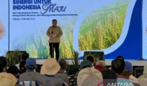 Kepastian Harga Jadi Kunci Dukungan Petani pada Program Lingkungan