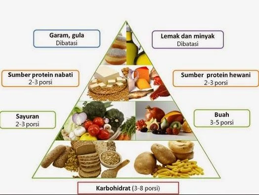 Komponen Nutrisi Utama dalam Makanan Sehat untuk Diet pada Remaja