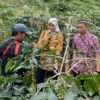 Kopi Bunar Tasikmalaya Sukses Tembus Pasar Jepang, Tingkatkan Kesejahteraan Petani Bunihurip