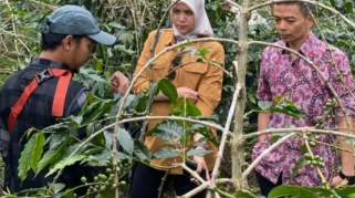 Kopi Bunar Tasikmalaya Sukses Tembus Pasar Jepang, Tingkatkan Kesejahteraan Petani Bunihurip
