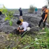Kopling Pronojiwo Pulihkan Lahan Kritis dan Mata Air Lewat Konservasi Ekosistem di Lumajang